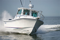 Steigercraft